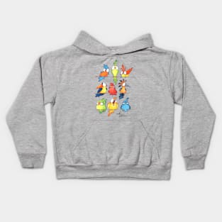 Funny Birds Kids Hoodie